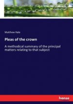 Pleas of the crown