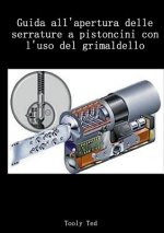 Guida all'apertura delle serrature a pistoncini con l'uso del grimaldello