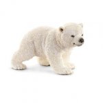 Młody niedźwiedź polarny