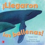 Lectura Maravillas Literature Big Book: Llegaron Las Ballenas! Grade K