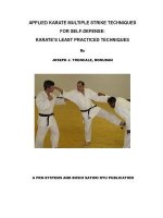Karate Multiple Strike Techniques for Self-Defense