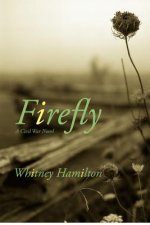 Firefly: A Civil War Story