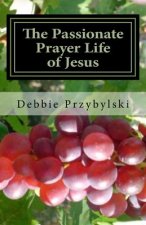The Passionate Prayer Life of Jesus: Discover How to Pray Like Jesus
