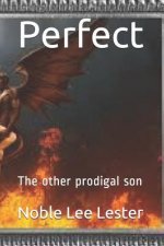 Perfect: The Other Prodigal Son