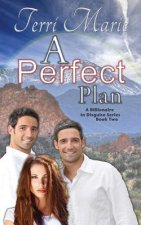A Perfect Plan: A Billionaire in Disguise, Book 2