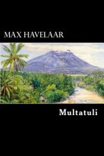 Max Havelaar: Dutch Edition