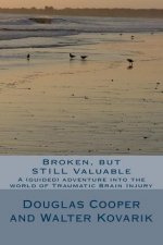 Broken, but STILL Valuable: an (guided) adventure into the world of TBI