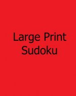 Large Print Sudoku: Fun, Large Grid Sudoku Puzzles