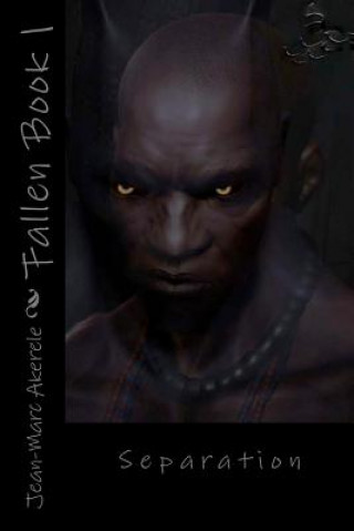 Fallen Book 1: Separation