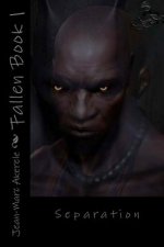 Fallen Book 1: Separation