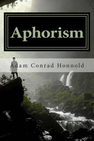 Aphorism: The Cave and the Code
