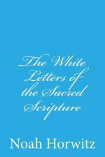 The White Letters of the Sacred Scripture: The Continuum, The Code, and the Permuted Book