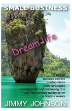 Small Business: Dream life, 6 figure success secrets startup ideas, guide, strat: SMALL BUSINESS: Dream life, 6 figure success secrets