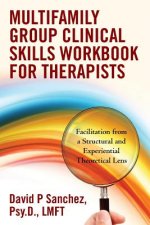 Multifamily Group Clinical Skills Workbook for Therapists: Facilitation from a Structural and Experiential Theoretical Lens