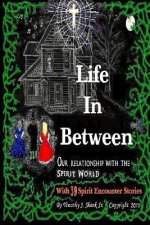 Life In Between: 39 Spirit Encounter Stories of God and Angels - Ghosts, Witches and Demons . . . With Observations and Studies