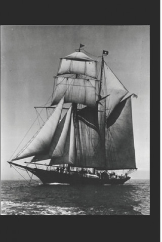 A Pacific Princess