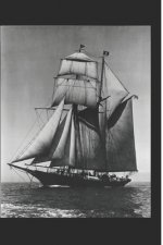 A Pacific Princess