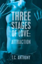 Three Stages of Love: Attraction