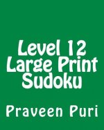 Level 12 Large Print Sudoku: 80 Easy to Read, Large Print Sudoku Puzzles
