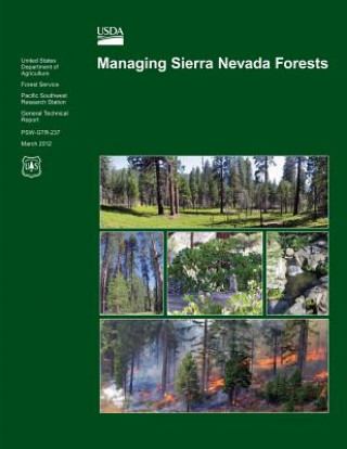 Managing Sierra Nevada Forests