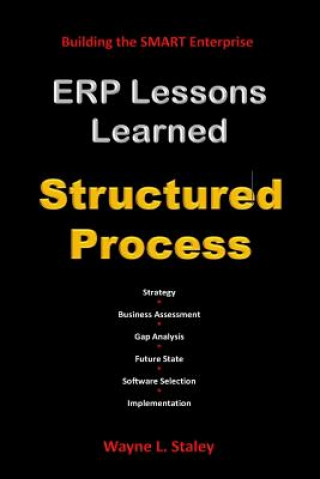 ERP Lessons Learned - Structured Process