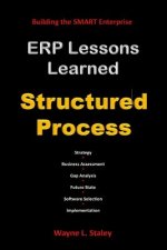 ERP Lessons Learned - Structured Process