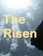 The Risen: channeled material
