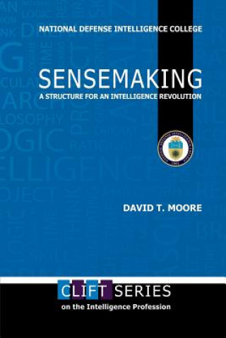 Sensemaking: A Structure for an Intelligence Revolution