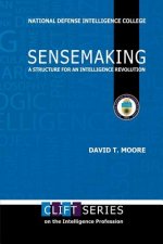 Sensemaking: A Structure for an Intelligence Revolution