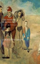 The Families in Rossford: The Sixth Rossford Novel