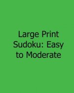 Large Print Sudoku: Easy to Moderate: Easy to Read, Large Grid Sudoku Puzzles