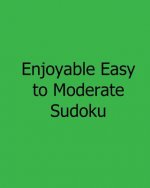 Enjoyable Easy to Moderate Sudoku: Fun, Large Grid Sudoku Puzzles