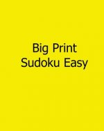 Big Print Sudoku Easy: Easy to Read, Large Grid Sudoku Puzzles