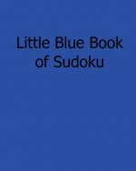 Little Blue Book of Sudoku: Fun, Large Grid Sudoku Puzzles