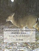 Abandoned Homestead Americana...: Large Print Edition