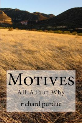 Motives: All about Why