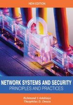 Network Systems and Security (Principles and Practices): Computer Networks, Architecture and Practices