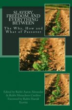 Slavery, Freedom, and Everything Between: The Why, How and What of Passover