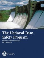 The National Dam Safety Program Research Needs Workshop: Dam Spillways