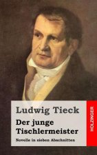 Der junge Tischlermeister: Novelle in sieben Abschnitten