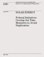Solar Energy: Federal Initiatives Overlap but Take Measures to Avoid Duplication (GAO-12-843)