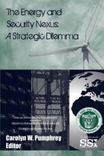 The Energy and Security Nexus: A Strategic Dilemma