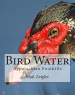 Bird Water: Appalachian Foothills