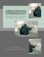 Animal Photoons Work Better Than Antidepressants: Photoons are medicine without side effects