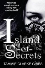 Island of Secrets: Time-Travel Gothic Romance