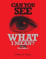 Can You See What I Mean Vol 4: The Suffix S