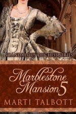 Marblestone Mansion, Book 5