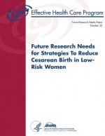 Future Research Needs for Strategies To Reduce Cesarean Birth in Low-Risk Women: Future Research Needs Paper Number 22