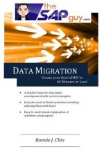 SAP Data Migration - Creating your first LSMW in 60 minutes or LESS!