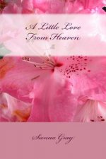 A Little Love From Heaven